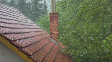 Güçlü bir yağmur damlası, seramikli bir çatıyı ıslatır. Damlacıklar, huzurlu ormanı çevreleyen canlı yeşil ağaçlara dökülür. Sıcak bir öğleden sonra..