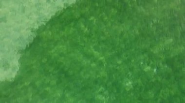 Kuzey Makedonya 'nın Ohri Gölü' nün yeşil suları, yüzeyde hafif dalgalanmalar ve güneş yansımalarıyla.