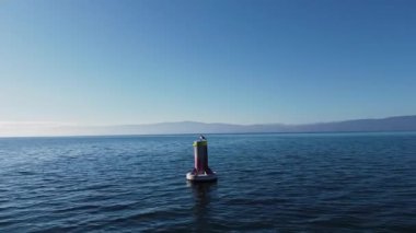 Yalnız bir martı, Ohri Gölü 'nün engin genişliğindeki kırmızı ve beyaz bir şamandıranın tepesine çıkar. Işıldayan mavi su, arka planda dağlar olan kış güneşini yansıtır..