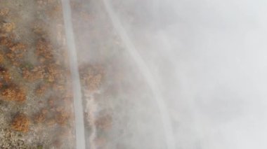 Sarmal bir dağ yolunun hava manzarası kalın bir siste kayboluyor. Ağaçların sonbahar renkleri güzel bir karşıtlık yaratır..