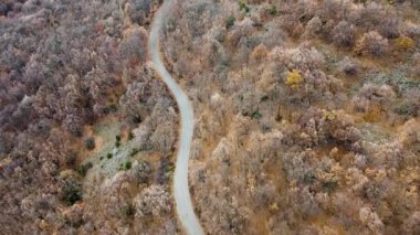 Sakin bir sonbahar ormanında dolambaçlı bir yolun havadan görünüşü. Renkli ağaçlar ve dingin manzara huzur ve macera hissini uyandırıyor..