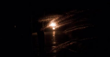 Bir kız, sakin bir gecede arabanın farlarının ışığında zarif bir şekilde yürür, yakınlardaki bitkilerin siluetlerini döker. Ayar büyüleyici ve gizemli bir hava yaratıyor..