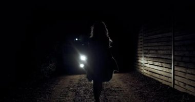 Gözlerden uzak bir yolda gece yürüyüşü yaparken, bir ışık parlaması çevreyle ilgili ayrıntıları ortaya çıkarır. Gecenin esrarengiz atmosferine eklenen bir figür yavaşça hareket ediyor..