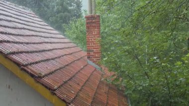 Ağaçlar rüzgarda hafifçe sallanırken, yağmur kiremitli bir çatıdan aşağı dökülür. Yağmurun huzurlu sesi mahallede rahatlatıcı bir atmosfer yaratıyor..