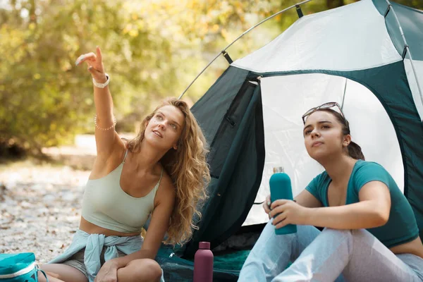 İki arkadaş ormanlık bir bölgede çadırın dışında güneşli bir günün tadını çıkarıyorlar. Bir arkadaş gökyüzünde bir şeyi işaret ederken diğeri dikkatle dinliyor, elinde bir içki tutuyordu..