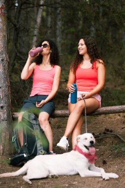 Renkli bluzlar giyen iki kadın yemyeşil bir ormandaki ahşap bir bankta mola veriyor. Bir köpek onların yanında dinlenirken onlar içeceklerinin tadını çıkarıyorlar. Ortam huzurlu ve neşeli..