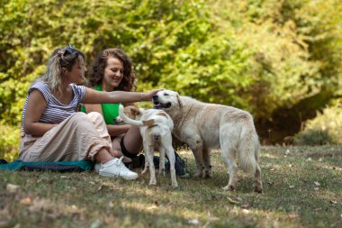 İki kadın, canlı bir ormanda kamp yaparken rahatlar. Birbirlerine eşlik ederler. Sıcak ve güneşli bir günde, doğayla iç içe olurlar..