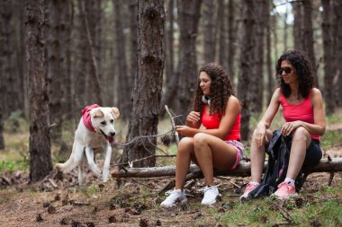 Günlük kıyafetli iki kadın ormanda bir kütüğe oturmuş kırmızı eşarplı bir köpeği izliyorlar. Açık hava maceralarına ara verirken huzurlu bir ortamın tadını çıkarıyorlar..