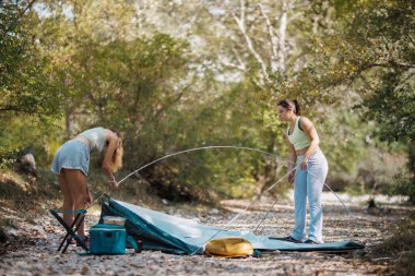 İki genç kadın ormanda bir çakıl yolunda çadır kuruyor. Kamp için hazırlanırken ağaçların arasında eğleniyorlar..