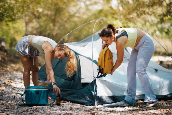 İki arkadaş sakin bir orman bölgesinde kamp çadırı kurmakla meşguller. Güneş ağaçların arasından parlıyor. Teçhizatlarını düzenliyorlar. Önümüzdeki gün için heyecanlılar..