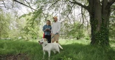 Güneşli bir günde köpekleri ile birlikte parkta sakin bir yürüyüş yapan bir çift. Atıştırmalıkları paylaşıyorlar ve çevrelerindeki doğaya hayran kalıyorlar..