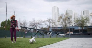 Atletik kıyafetler giyen kızıl saçlı bir kadın küçük beyaz köpeğini şehir parkında tasmalı gezdirir. Köpek arka bacağıyla arka bacağını kaşıyor..
