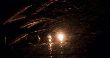 Hareket eden bir arabanın farları karanlığı delip geçer, sessiz bir yol boyunca uzanan uzun bitki siluetlerini aydınlatır, doğada sakin, gece vakti atmosferi yaratır..