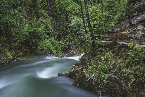 Fluss im Wald, lange Belichtung — Stockfoto