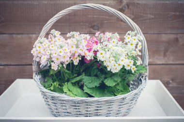 Bahar çiçekleri, bahar çiçekleri topluluğu