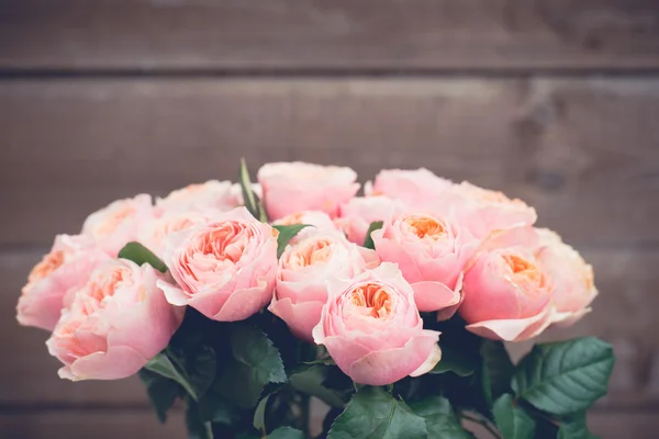 Rosarote Rosen im Garten — Stockfoto