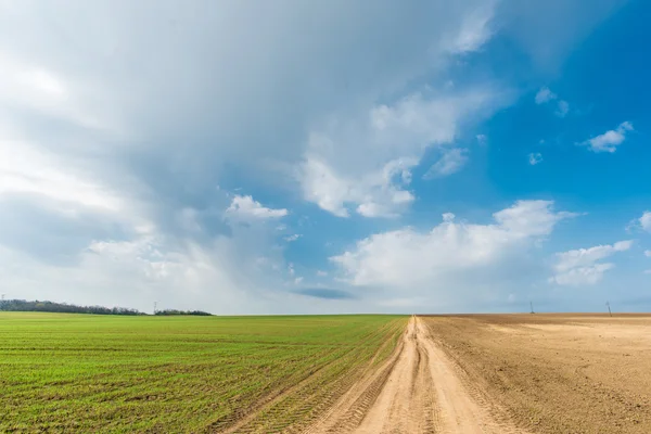 Művelt zöld rét. Vidéki táj. Országúton, kék ég alatt — Stock Fotó