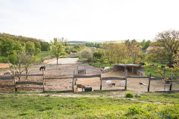 Countryside farm, farm life — Stock Photo, Image