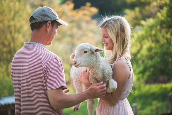 Állatorvos, ügyelve a bárány, állat gond koncepció — Stock Fotó