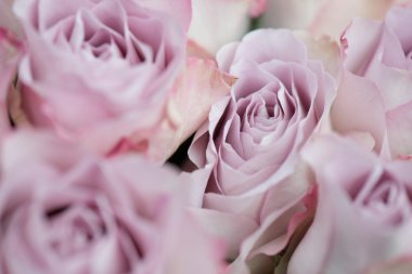 Pembe Gül dekorasyon. Pembe gül buketi. Düğün Çiçek Aranjman.