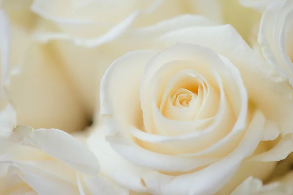 Weißer Blumenschmuck. Hochzeit florales Dekor. — Stockfoto