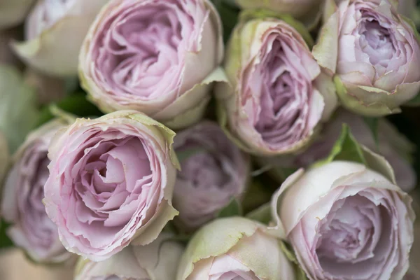Decorazione rose rosa. Bouquet di rose rosa. Matrimonio composizione floreale . — Foto Stock