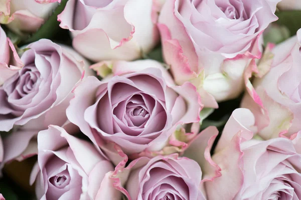 Roze rozen decoratie. Boeket roze rozen. Bruiloft bloemen regeling. — Stockfoto