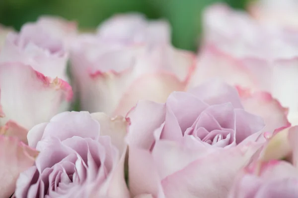 Pink roses decoration. Bouquet of pink roses. Wedding floral arrangement. — Stock Photo, Image