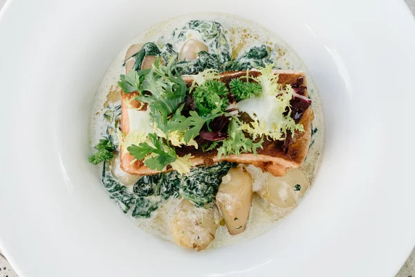 Salmon with steamed spinach and creamy potatoes — Stock Photo, Image