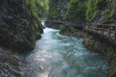 Akan nehir. Slovenya