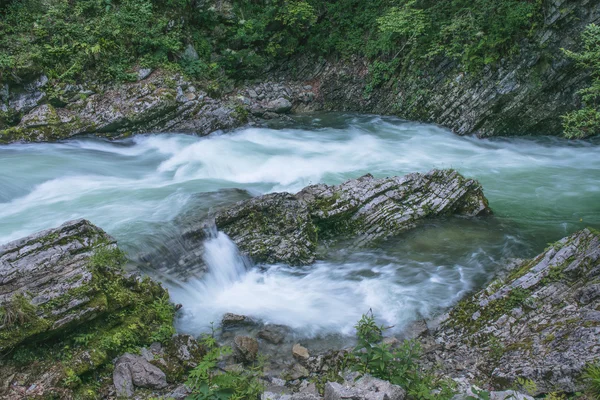 Vintgar Vadisi, Slovenya — Stok fotoğraf