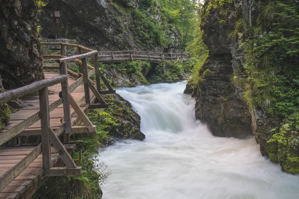 流れる川。スロベニア — ストック写真