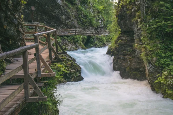 Flowing river. Slovenia — Stock Photo, Image