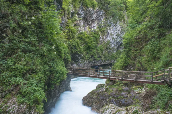 Flowing river. Slovenia — Stock Photo, Image