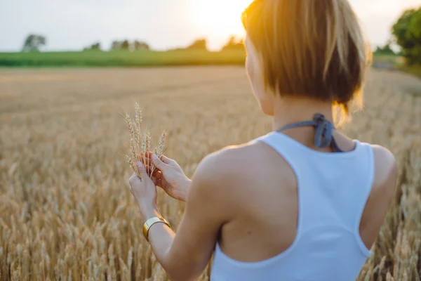 Weibliche Hand mit einer goldenen Weizenähre im Weizenfeld — Stockfoto