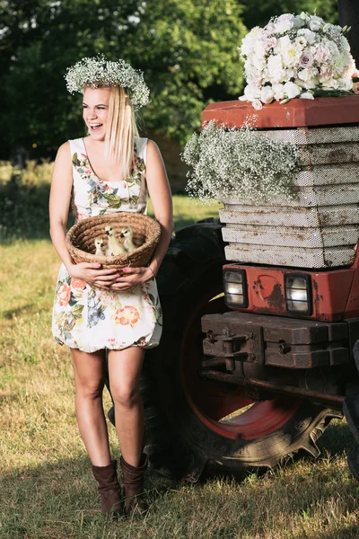 Молодая, счастливая фермерша держит корзину с гусями — стоковое фото