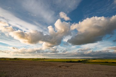 Tarım alanı, çiftlik manzara