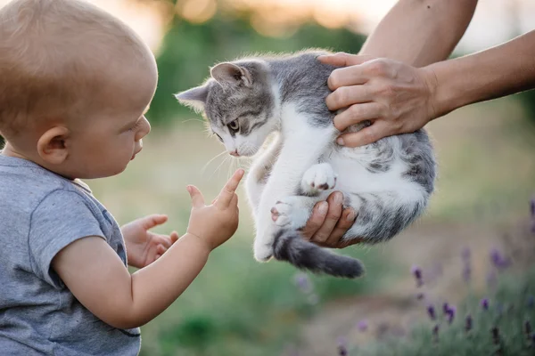 Child playing with cat in garden.