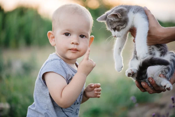 Barn leker med katt i trädgården. — Stockfoto