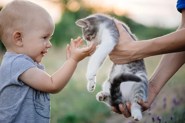 Child playing with cat in garden.