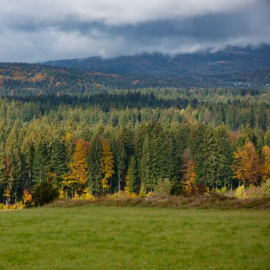 sonbahar doğa manzara