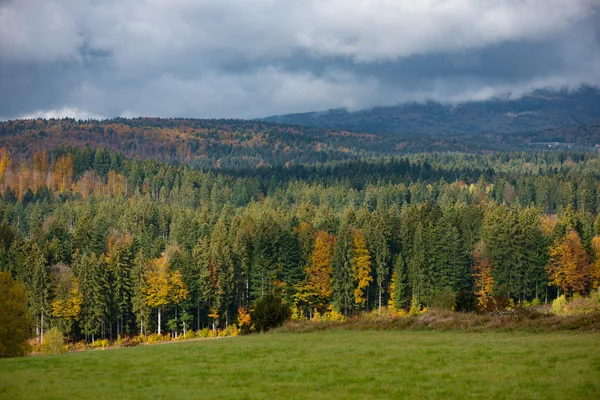 Fall nature landscape — Stock Photo, Image