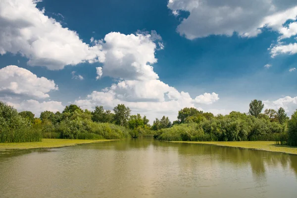 Krajina, modrá obloha nad klidným jezerem — Stock fotografie