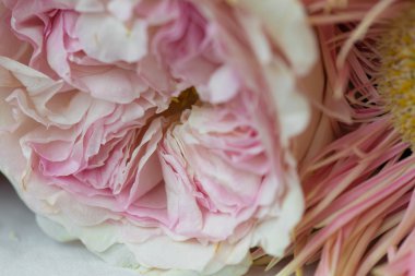 Pembe çiçek dekorasyon