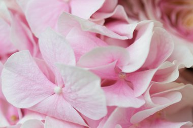 pembe çiçek süslemesi