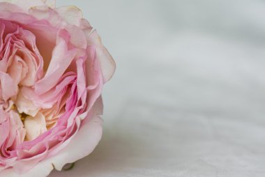 pembe çiçek süslemesi