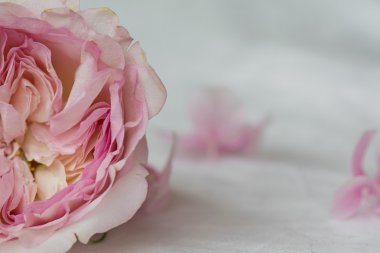 pembe çiçek süslemesi