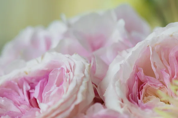 Dekoration aus rosa Blumen — Stockfoto