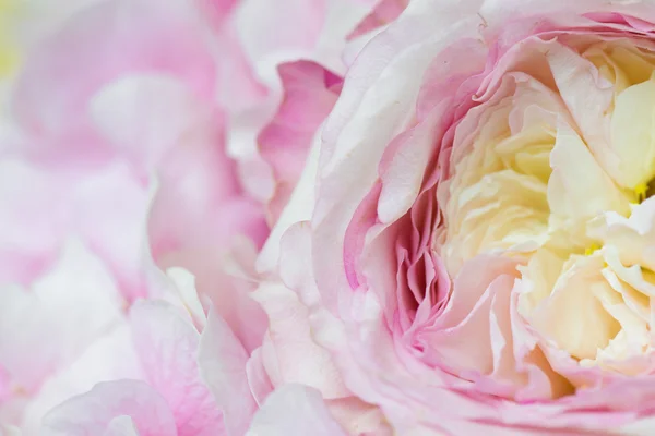 Rosafarbener Blumenschmuck — Stockfoto