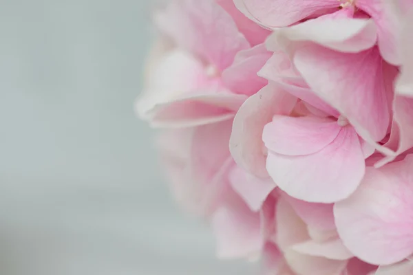 Rosafarbener Blumenschmuck — Stockfoto